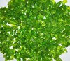 590 024 Fritte Verde erba scuro diamètre 3-4mm (vert herbe foncé)