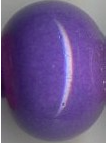 New Purple Opaque 9740